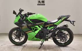 KAWASAKI NINJA 250 SL