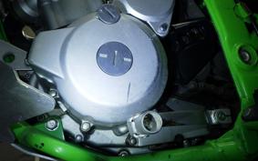 KAWASAKI KLX250 Gen.2 LX250S