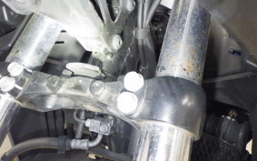 SUZUKI Vｽﾄﾛｰﾑ250SX 2013 EL11L