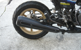 HONDA APE100 TYPE D HC13