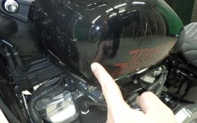 HARLEY FXST1750 2025