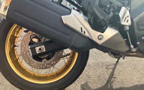 SUZUKI DL650 ( V-Strom 650 ) 2020 C733A