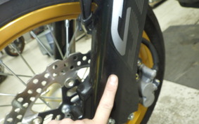 KAWASAKI KLX230 SM 2020 LX230A