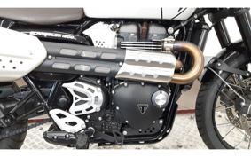 TRIUMPH SCRAMBLER 1200X 2024 DADR0H