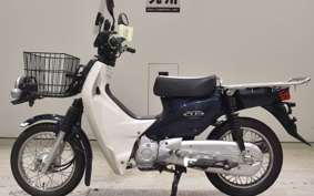 HONDA C110 SUPER CUB 2019 JA10