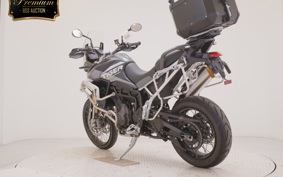 TRIUMPH TIGER900 RALLYARACO 2024