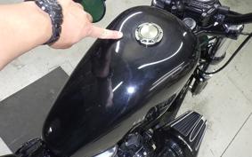 HARLEY XL1200X 2020