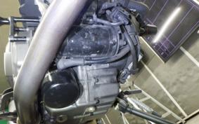 DUCATI MONSTER 937 + 2022