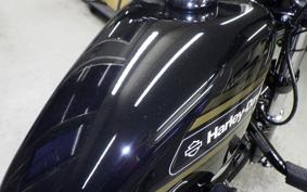 HARLEY XL1200XS 2020