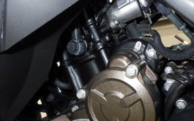 SUZUKI ｼﾞｸｻｰ250SF 2018 ED22Y