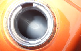 YAMAHA TW225 DG09J