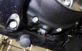 HARLEY XL883N 2021