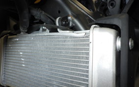 HONDA CB250R 1996 MC52