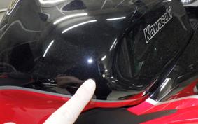 KAWASAKI NINJA 1000SX 2024 ZXT02K