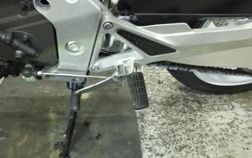 HONDA HORNET 250 MC31