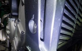 YAMAHA FZ1 FAZER 2009 RN21J