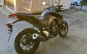YAMAHA MT-25 RG43J