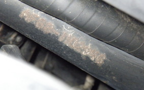 HONDA DIO Gen.6 AF68