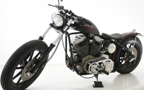 ROAD HOPPER PRO TO TYPE 1 2005
