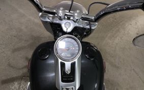 HARLEY FLFBS1870 YGK