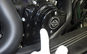 HARLEY FLTRX1920 2024