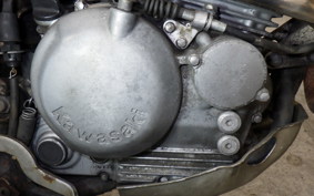 KAWASAKI SUPER SHERPA 2023 KL250G