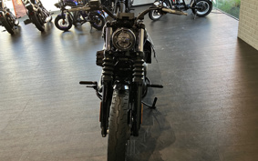 HARLEY FXBB 2019 YJJ