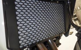 HONDA TRANSALP XL750 2025 RD16