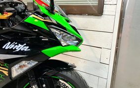 KAWASAKI NINJA ZX-6R 2020 ZX636G