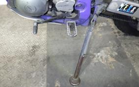 YAMAHA TT250R RAID 2013 4GY