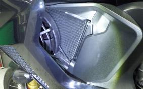 TRIUMPH TIGER 1200 RALLY 2024