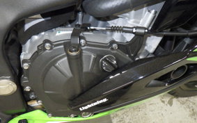 KAWASAKI ZX-4RR 2023 ZX400P