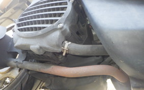 HONDA CREA SCOOPY AF55