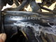 Фото Suzuki INAZUMA 400 1999 с японского аукциона