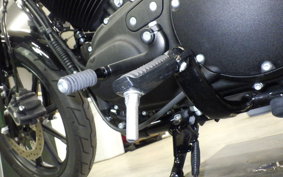 HARLEY XL1200NS 2019