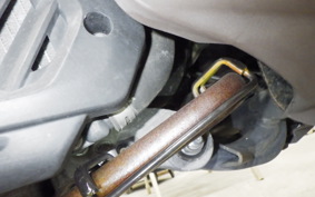 HONDA SHﾓｰﾄﾞ 2007 JF51
