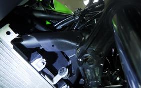 KAWASAKI NINJA 400 2019 EX400G