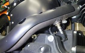 HARLEY FXBBS1870 2021