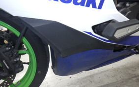 KAWASAKI ZX-4RR 2024 ZX400P