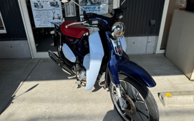HONDA  SUPER CUB C125 JA48