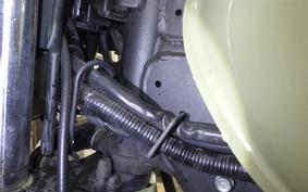 KAWASAKI W175 TR 2020