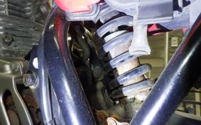 HONDA APE 50 2025 AC16