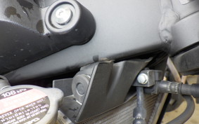 YAMAHA XSR125 RE46J