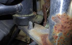 KAWASAKI ELIMINATOR 250 SE EL250A