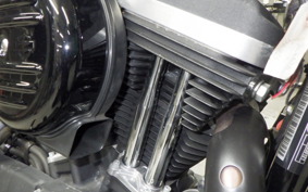 HARLEY XL883N 2015