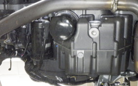 DUCATI MONSTER 937 + 2024
