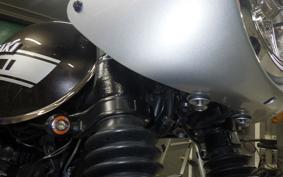 KAWASAKI W800 CAFE 2020 EJ800B