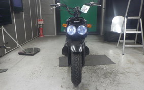 HONDA ZOOMER 2007 AF58