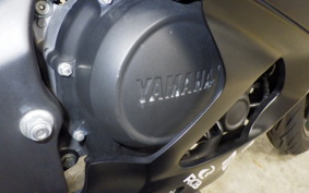 YAMAHA YZF-R15M