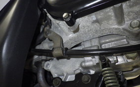 HONDA DIO Gen.5 2025 AF56